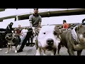 KALIM - sig sauer