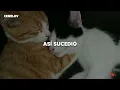 Grupo Niche - Nuestro Sueño (Letra)