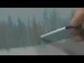 Paint Along How To Paint A Winter Scene in Oils - with Artist Wilson Bickford