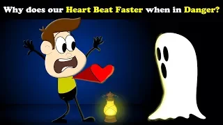 Download Why does our Heart beat Faster when in Danger + more videos | #aumsum #kids #education #children MP3