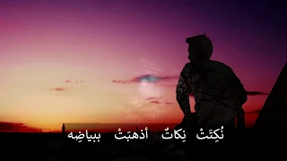 اكبح خطام الطرف قصيدة عن غض البصر مؤثرة 