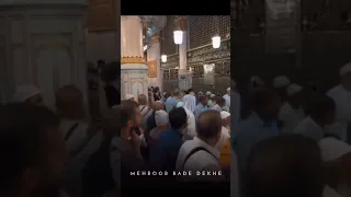 Dildar Bade Aaye Mehboob Bade Dekhe Status Naat Muhammadﷺ Youtubeshorts Shorts Madina 