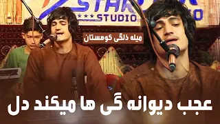 Mujtaba Estalefi New Song Music Song Viral موسیقی مجتبی استالفی آهنگ عجب دیوانه گی ها میکند دل 