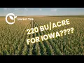 A Monster Corn Yield for Iowa On the Way