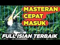 Lagu Terapi Jalak Suren Jantan Memanggil Betina Gacor Full Isian Tembakan Mewah