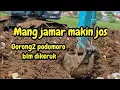 Lagu MANG JAMAR MASIH MELEBARKAN KALI WADAS ❗️ PODOMORO ADA 2 BEKO❗️#kdm 
