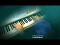 "Luminous" by Ludovico Einaudi – A musical journey between sweetness, romance and serenity