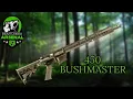 Bear Creek Arsenal 450 Bushmaster - WOW