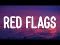 Download Lagu Josh Ross - Red Flags (Lyrics)