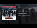 Conjunto primavera - actos de un tonto