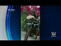 Suspended Miami-Dade Officer Talks For First Time After Controversial Rough Arrest