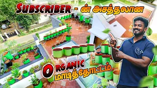 New Terrace Garden Setup 5 | புதுசா மாடித்தோட்டம் அமைக்க போறீங்களா கட்டாயம் இந்த வீடியோவை பாருங்க