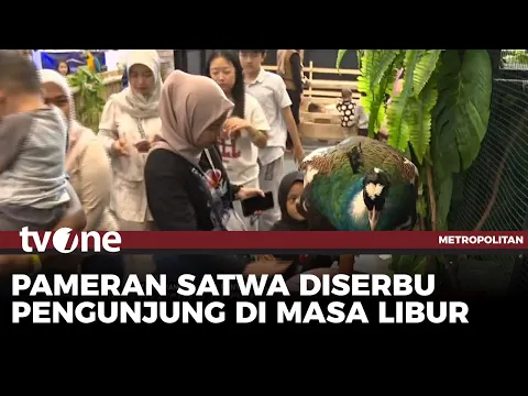 Nusatic Nusapet 2025 kembali hadir di ICE BSD, Surga Bagi Para Pecinta Hewan