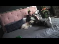Behind the Scenes of theChive s St Patrick s Day Shoot