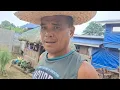 Download Lagu nag isa lang si Dodong sa kubo