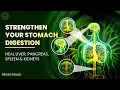 Download Lagu Strengthen Your Stomach, Digestion, Metabolism, Liver, Pancreas, Spleen And Kidneys | Binaural Beats