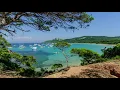 Sea Waves 🌊 & Birds Singing🐦 For Relaxing [SOUND OF OCEAN] 10 Hours