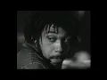 Peter Tosh - "Reggae Mylitis" - Traduzido - PT/BR