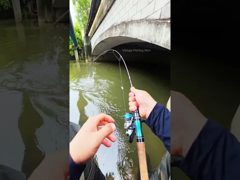 Hook Fishing tools itemπ With Red cron bite....π³π³ #shorts #fishing #trending