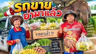 รถขายหญ้ามาเเล้ว