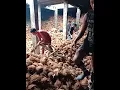Download Lagu kerja saya di kepulauan RIAU! Bongkar kelapa dari kapal di PT RSUP Pulau Burung...