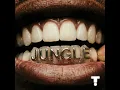 Jungle - TroyBoi & Shiwa