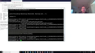 pico2019 slippery shellcode