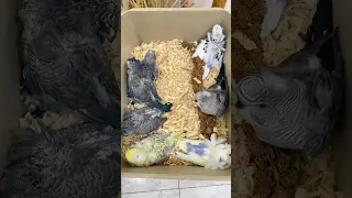 من الانتاج موسم خير علي الجميع 2026 