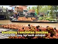Lagu Penampakan kampung rambutan disambas meski buah ujung tapi hasil tetep melimpah