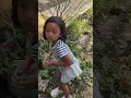 Download Lagu Aneh banget😱😱 ❗MALAH GOYANG ITIK.... #shortvideo#fypyoutube#shorts#viralreels#fypviral#shorts