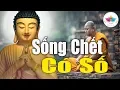 Lagu Sống Chết có Số, Phú Quý do Trời hay do con người lựa chọn _  Audio Thanh Tịnh Tâm