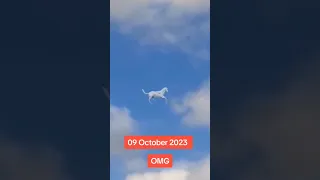 حصان يطير في السماء شو عبصير شاهد قبل الحذف 