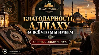 🤲 БЛАГОДАРНОСТЬ АЛЛАХУ ЗА ВСЁ, ЧТО МЫ ИМЕЕМ