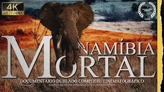 NAMÍBIA MORTAL | Guerra dos Predadores pela Sobrevivência no Deserto BRUTAL | Documentário INÉDITO