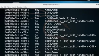 CNIT 127 Ch 3 Shellcode
