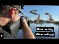 CA Duck Hunting Opener Mixed Bag