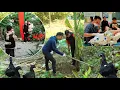 Thuy and A Men's new project: Building a garden, bringing animals back to the farm _ Ly Thanh Thuy 