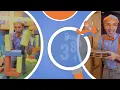 BINGO Song! | Blippi Music Videos | Blippi Toys