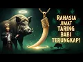 Download Lagu TERUNGKAP!! ASAL USUL MISTERI JIMAT TARING BABI YANG KONON PUNYA KEKUATAN MISTIS!