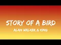 Alan Walker & King - Story of a Bird (Lyrics/English Meaning)