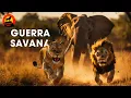 Download Lagu SAVANA AFRICANA | A Jornada de Sobrevivência dos Grandes Herbívoros #animaisselvagens