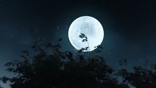 اصوات ت تلى ولم ت سمع من قبل 