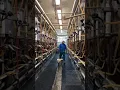 Milking Parlor Tour Narrated by 4th Generation Dairy Farmer Derrick Josi