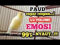 Download Lagu Kenari gacor angkat Emosi NGEROL TAJAM TERAPI AMPUH Kenari MACET Pancingan Kenari Paud Belajar Bunyi