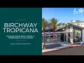 Birchway Tropicana with Description Las Vegas NV Apartments Greystar
