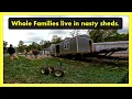 Part 2 Crazy Shed Repo with People living in it