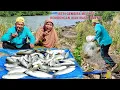 Download Lagu ISTRI KAGET MELIHAT ROMBONGAN IKAN MASIH BANYAK.