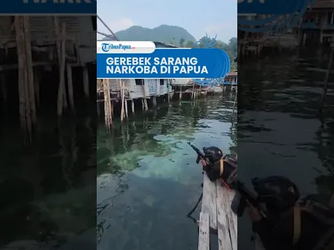 Polda Papua Gerebek Sarang Narkoba di Jayapura, 10 Orang Ditangkap