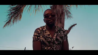 vusinator feat kmore wild love official music video 