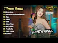 Download Lagu Shinta Gisul - CIINAN BANA - GARA GARA SEBOTOL MINUMAN || KOPLO TERBARU 2024